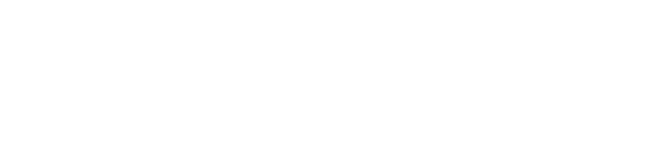 Baldur Sol Consulting Logo